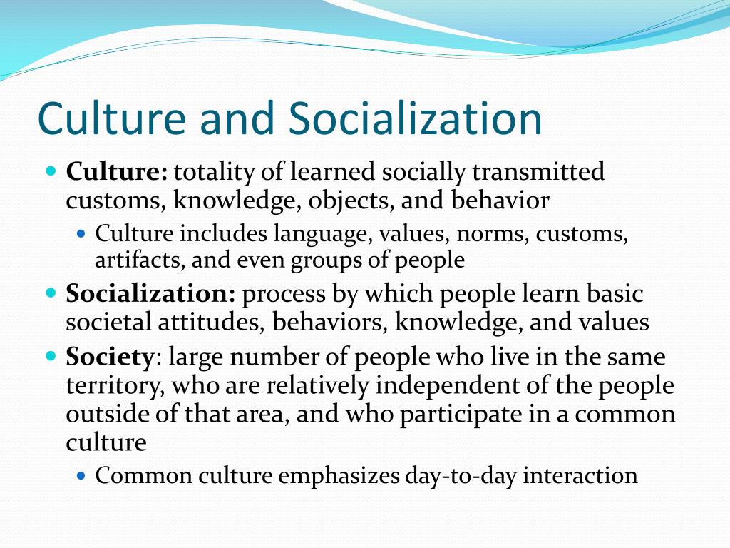 Ppt Culture And Socialization Powerpoint Presentation Free Download 