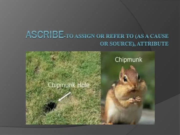 Ascribe Vs Assign – How to Use ClickUp for Project Management – HJJPNS