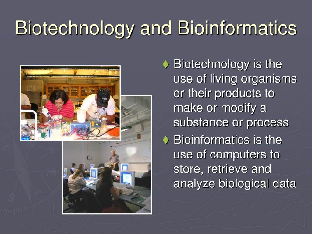 PPT Careers in Biology PowerPoint Presentation, free download ID