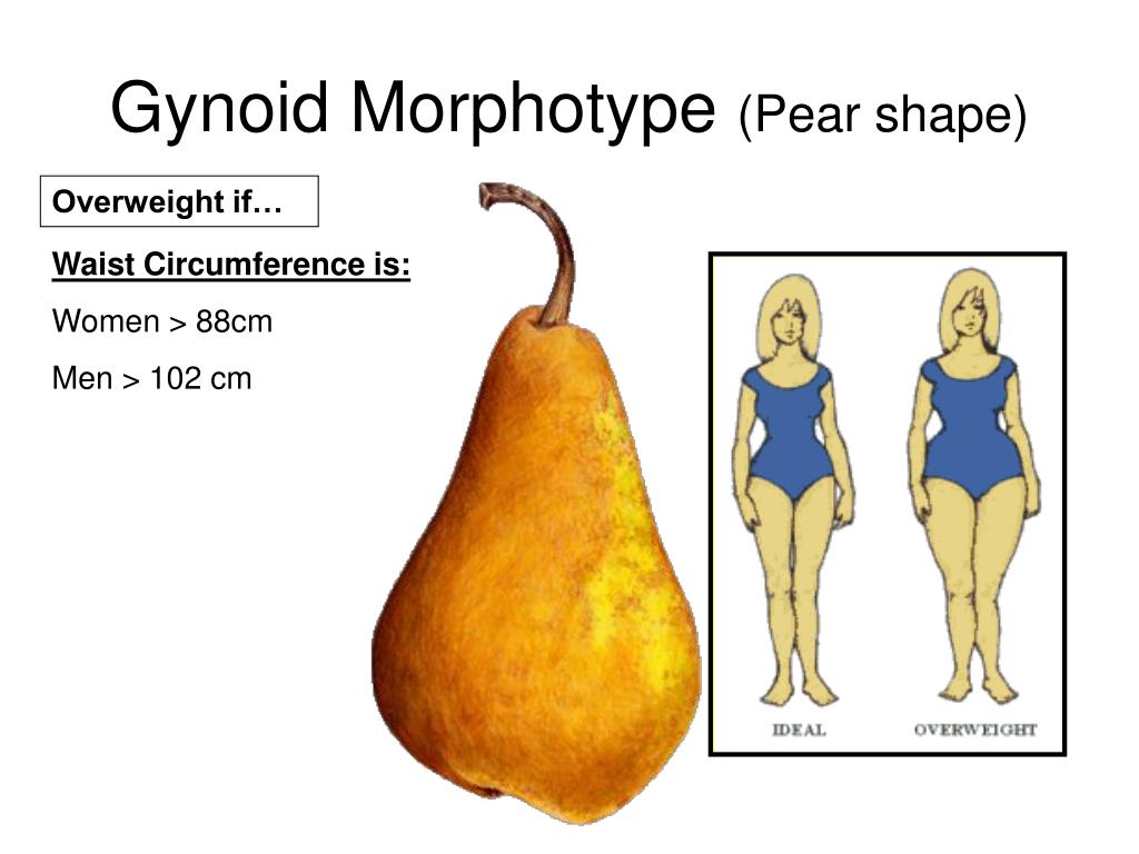 pear shaped obesity