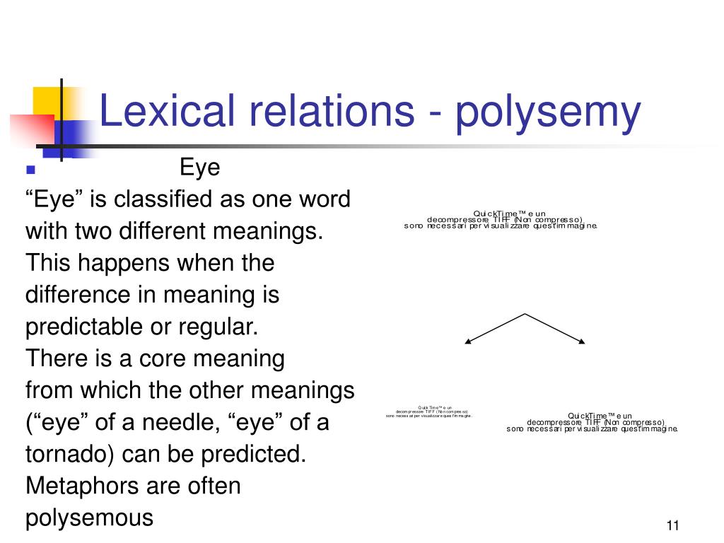 Ii meaning. Polysemy in English Lexicology. Types of Polysemy in English. Split Polysemy. Polysemy Radial Chain.