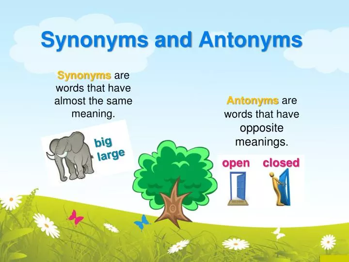synonyms and antonyms n.