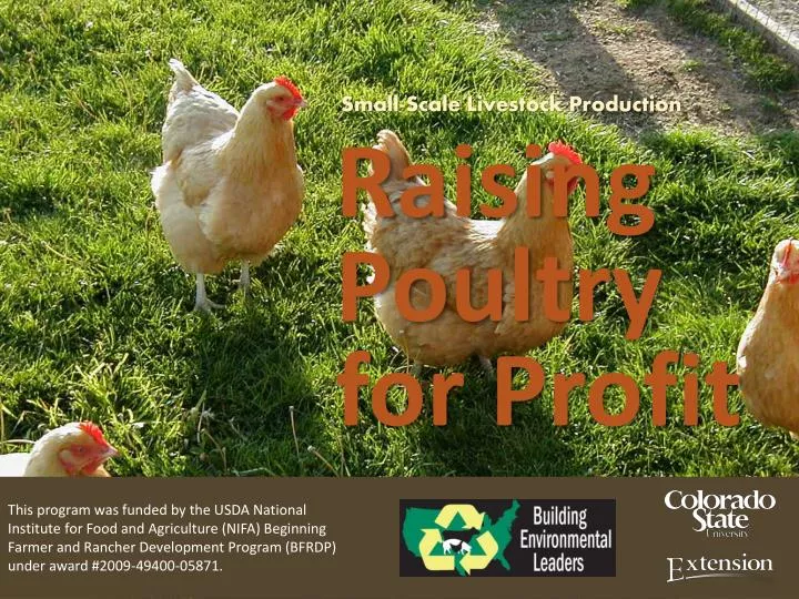 small scale livestock production raising poultry for profit n.