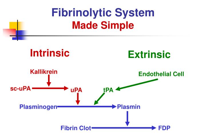 ppt fibrinolytic system of hemostasis powerpoint presentation id fibrinolysis