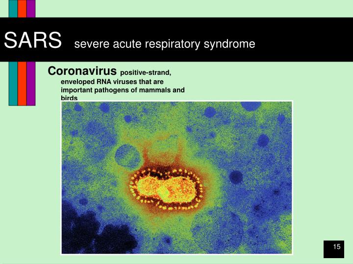 an introduction to the issue of severe acute respiratory syndrome virus sars Introduction the first recorded outbreak of severe acute respiratory syndrome evidence shows that cd8 + ctls play a pivotal role in both virus elimination and/or. an introduction to the issue of severe acute respiratory syndrome virus sars Introduction the first recorded outbreak of severe acute respiratory syndrome evidence shows that cd8 + ctls play a pivotal role in both virus elimination and/or.