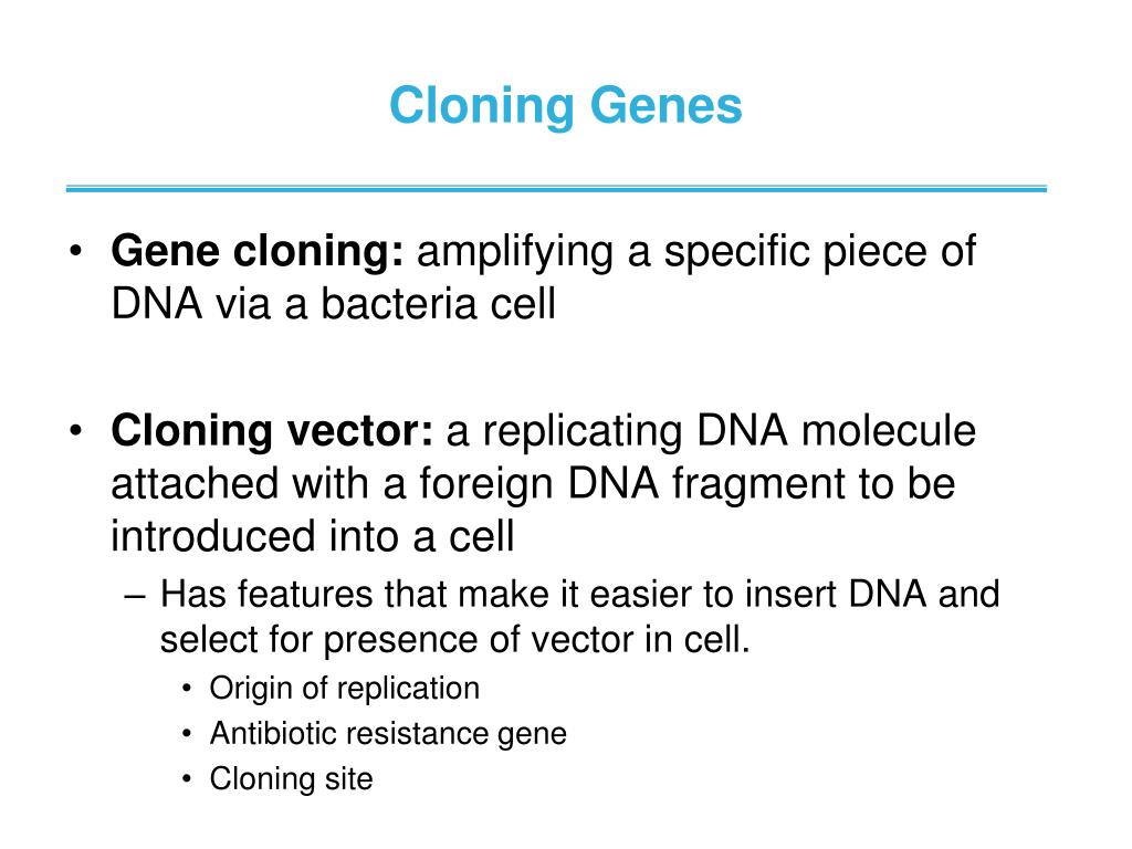 PPT - 19.1 Techniques of Molecular Genetics Have Revolutionized Biology ...