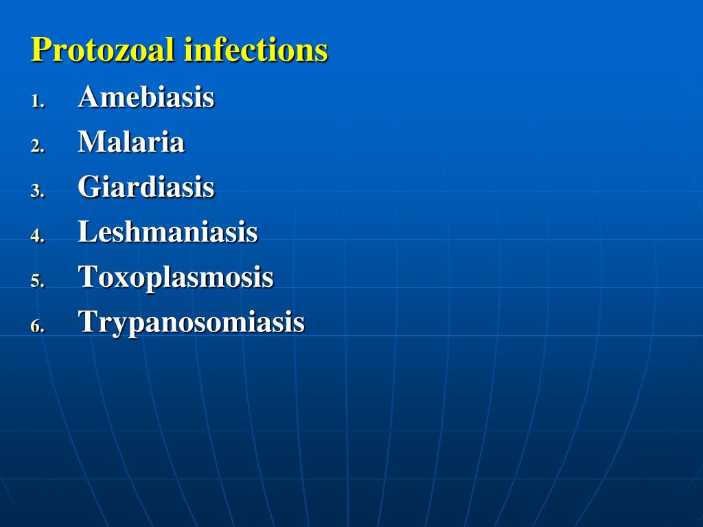 Ppt Protozoal Infections Amebiasis Malaria Giardiasis Leshmaniasis