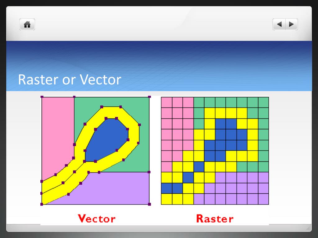 are photoshop images vector or raster based are photoshop images vector or raster based