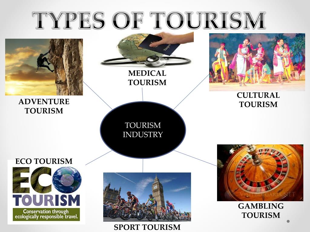 types of tourism sector