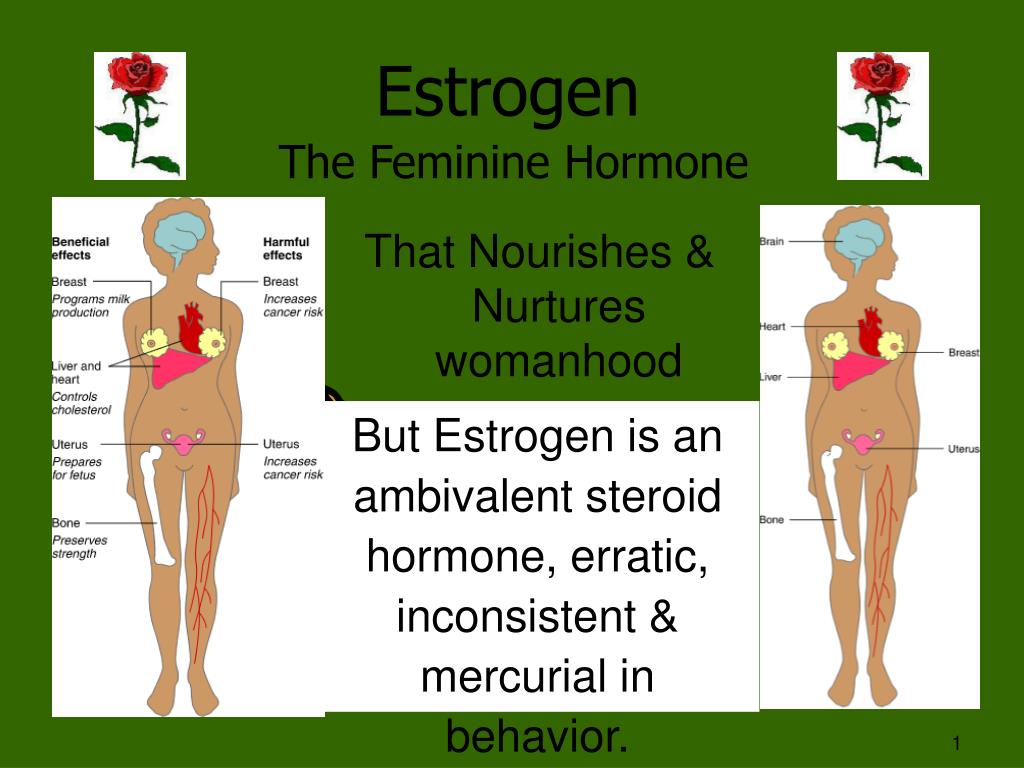 Nurture перевод. Femininity and estrogen. BNWO feminine Hormones. Feminine estrogen best. Что такое Human feminine.