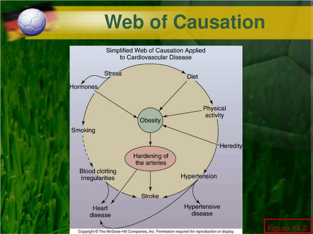 PPT Chapter 14 Patterns in Health and Disease Epidemiology and PPT Chapter 14 Patterns in Health and Disease Epidemiology and