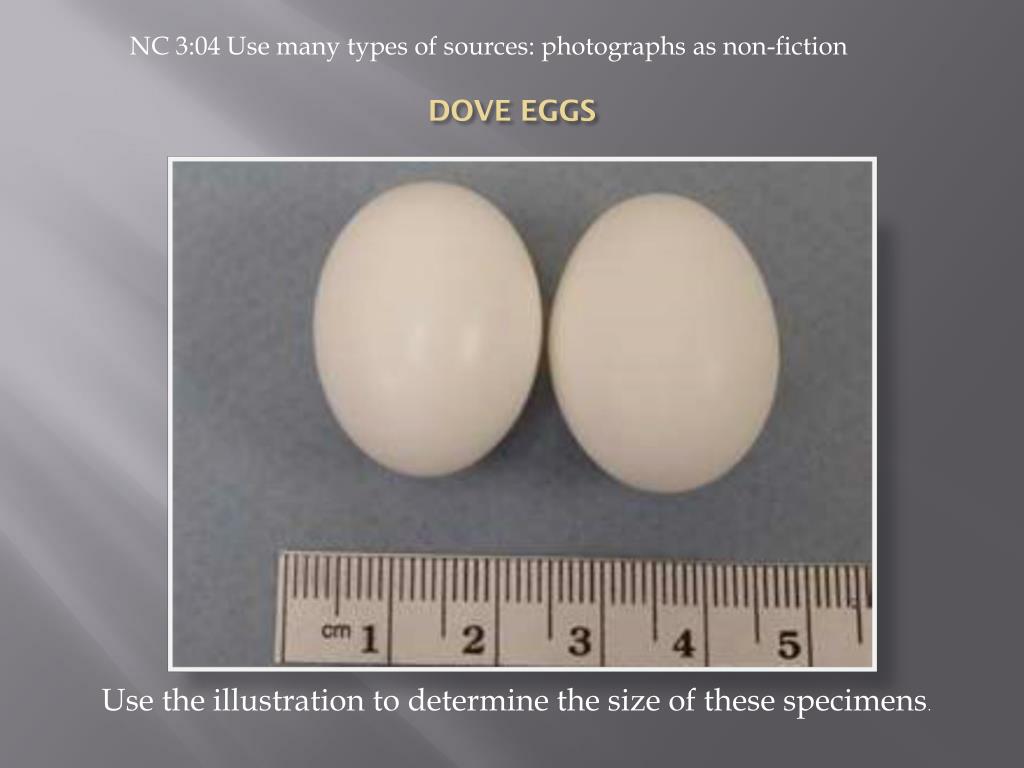 PPT ON THE WINGS OF A DOVE… facts and opinions PowerPoint