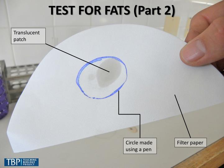 faqt testing faqt testing