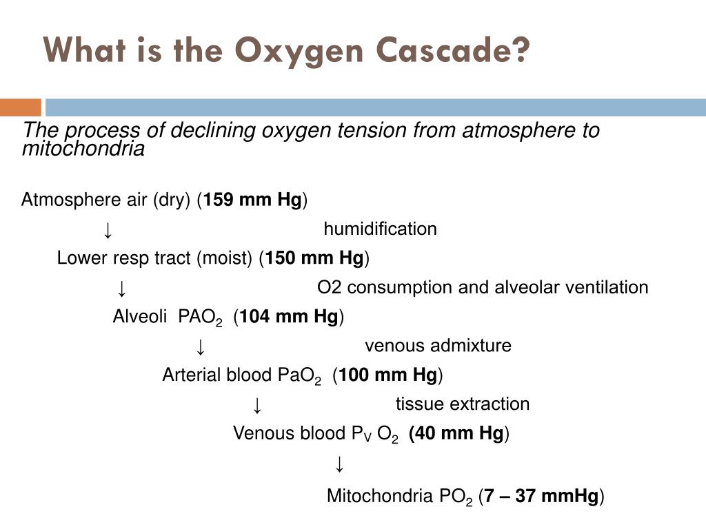 what is the oxygen cascade l