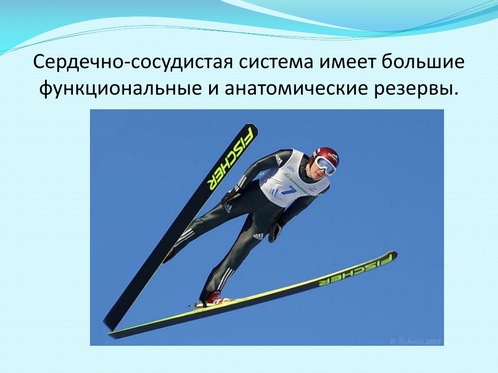 Какие виды спорта относятся к лыжному спорту. Зимние виды спорта. Виды лыжного спорта. Лыжный спорт название. Разновидности лыжных видов спорта.