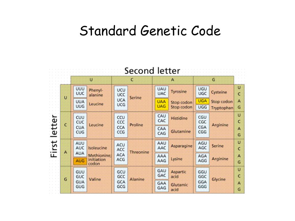 PPT - WHAT IS BIOLOGY? • Technically, the “study” (Gr =logos) of “life ...