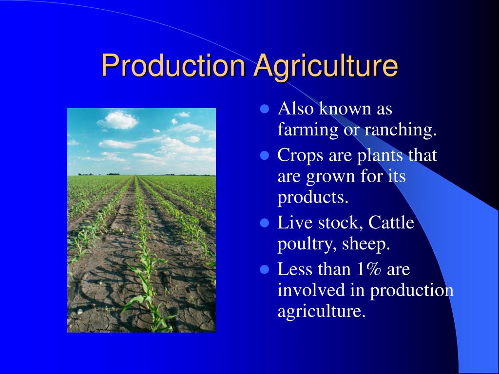 presentation on agriculture topics