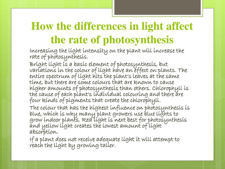 3 factors that affect the rate of photosynthesis By understanding the factors that affect the rate of photosynthesis they can do work to try the three main things affecting the rate of photosynthesis are: 1. 3 factors that affect the rate of photosynthesis By understanding the factors that affect the rate of photosynthesis they can do work to try the three main things affecting the rate of photosynthesis are: 1.