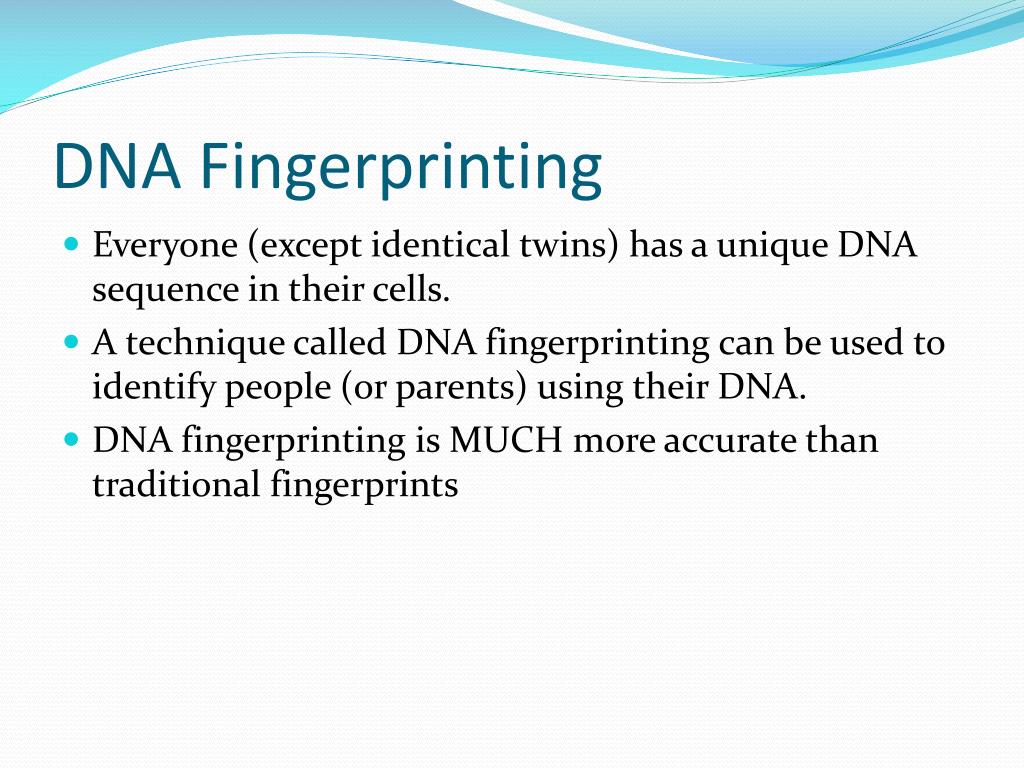 Edvotek 371 PCR-Based DNA Fingerprinting in | Whizz Edvotek 371 PCR-Based DNA Fingerprinting in | Whizz
