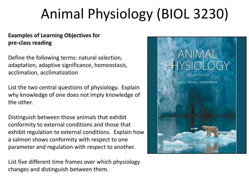 PPT - Team Based Learning in Animal Physiology PowerPoint Presentation - ID:2946491 PPT - Team Based Learning in Animal Physiology PowerPoint Presentation - ID:2946491