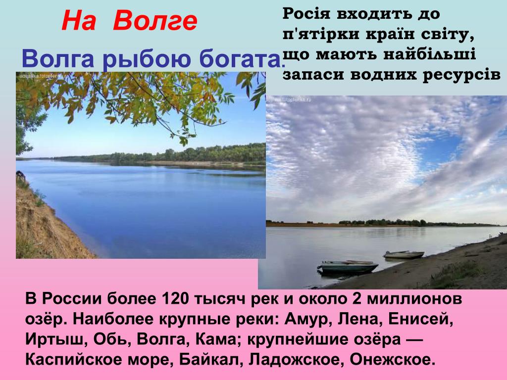 Река волга какая природная зона. Биологические ресурсы Волги. Биологические ресурсы реки Волга. Погадства природные Волги. Богатство реки Волги.