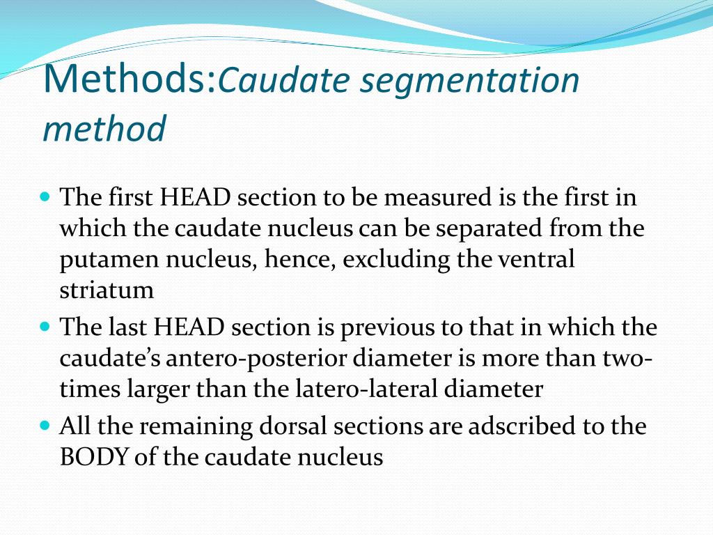 PPT - MRI Analysis of Caudate Nucleus in Pediatric ADHD: Diagnostic ...
