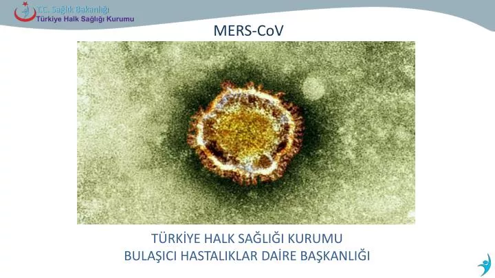 mers cov mers cov