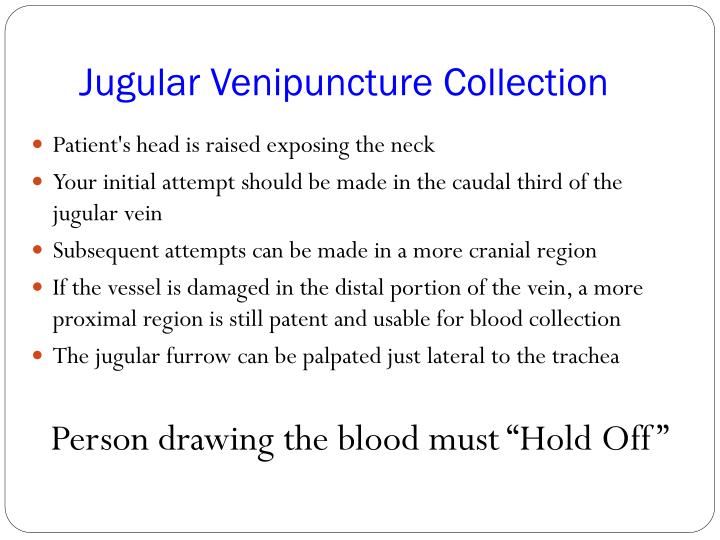 PPT VENIPUNCTURE PowerPoint Presentation ID2951104