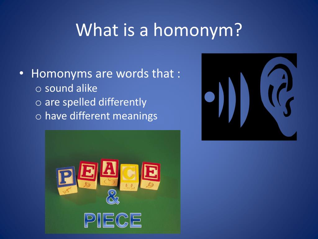 homonyms powerpoint presentation