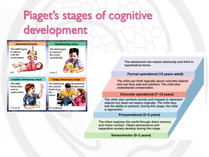 PPT - Human Development: Cognitive Development PowerPoint Presentation ...