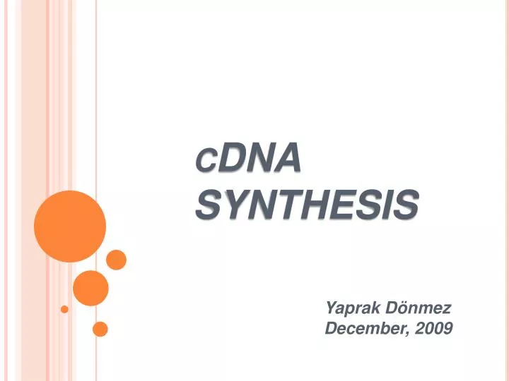 cdna synthesis n.