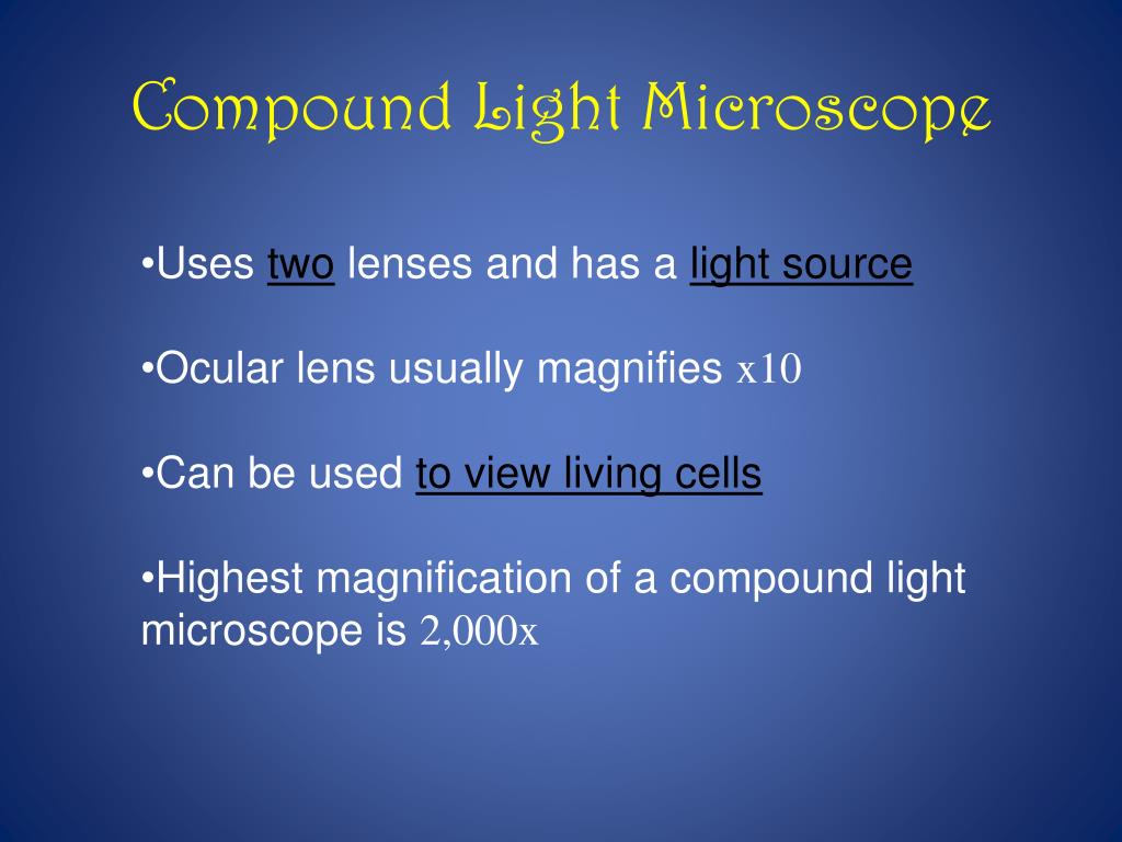 lenses in compound light microscope