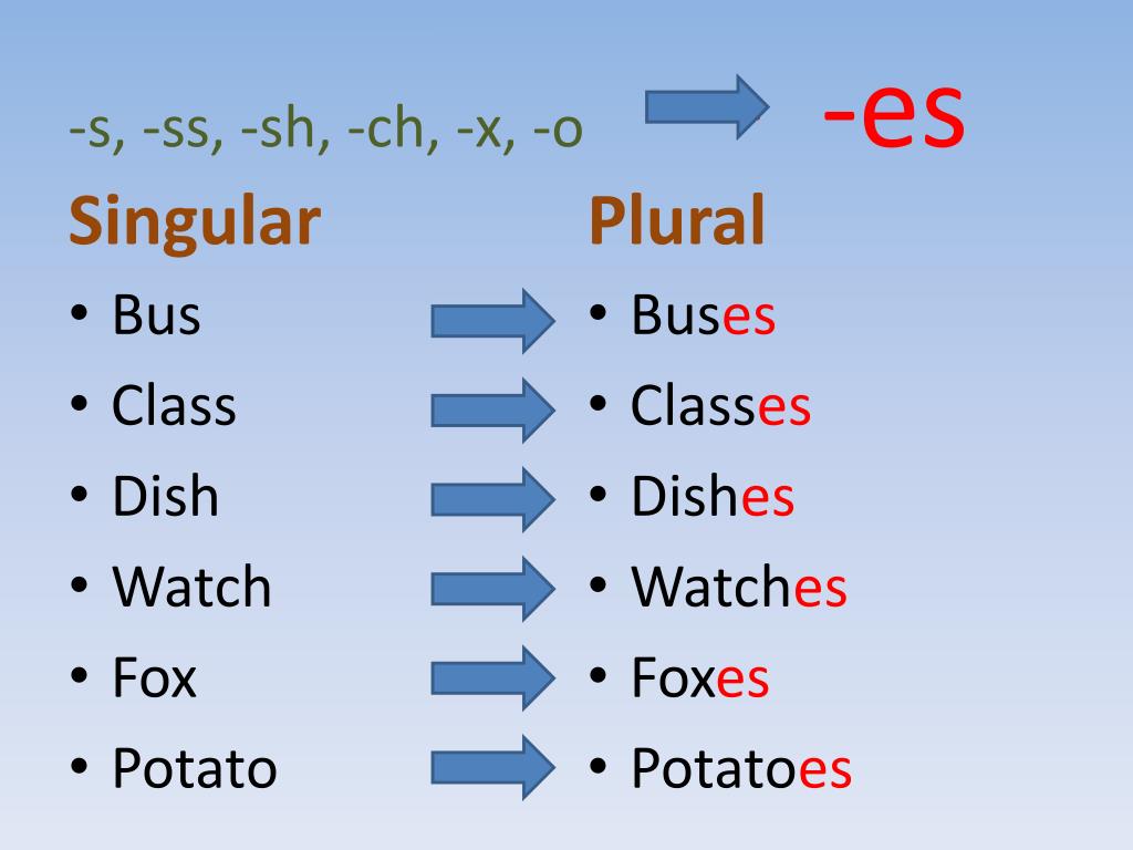 Dish plural. S SS sh Ch x o. Plural form SS sh Ch. Множественное число в английском. Plurals правило.