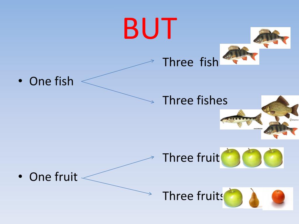 Английские слова рыба. Fish Fishes множественное число. Fish множественное число в английском языке. Fish множественное число. Множественное число слова Fish.