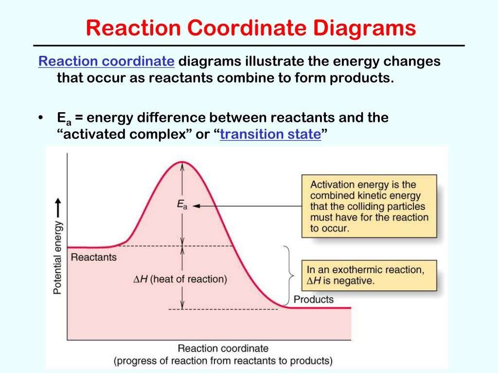 PPT Reaction Rates (Chapter 13) PowerPoint Presentation, free