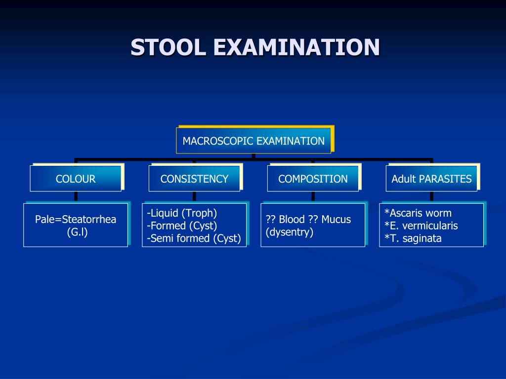PPT LABORATORY DIAGNOSIS OF PARASITIC INFECTIONS PowerPoint