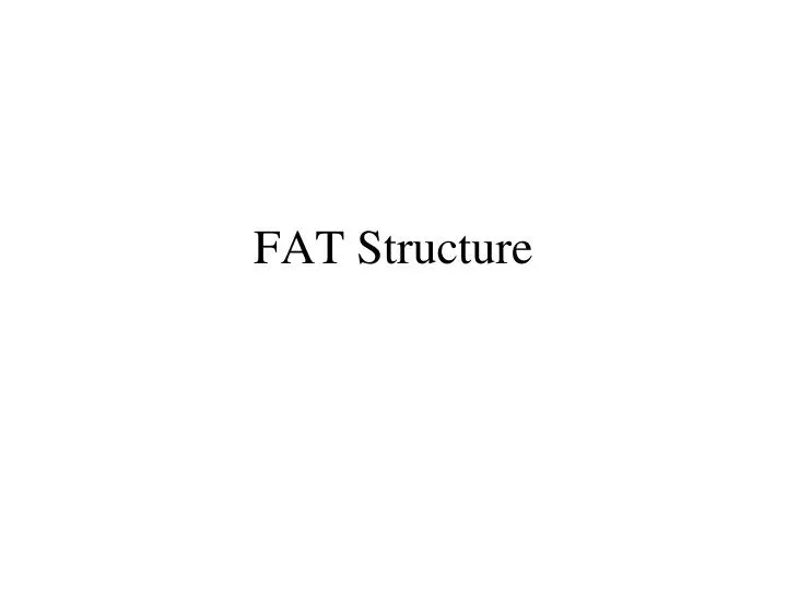 fat structure n.