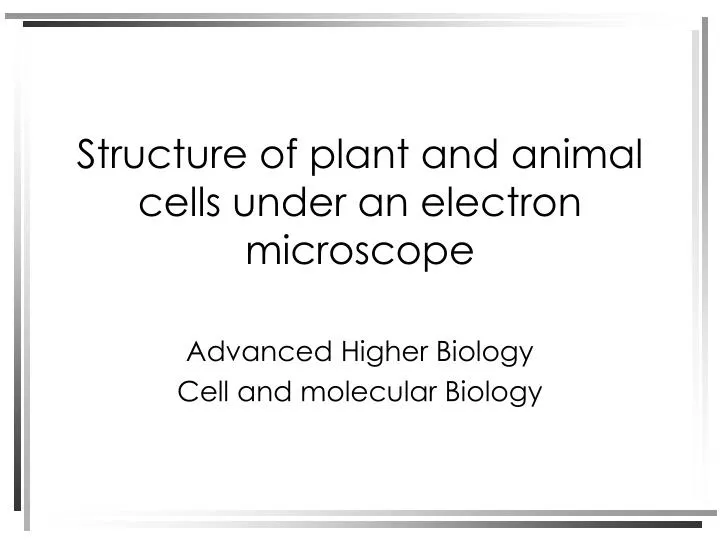 PPT - Structure of plant and animal cells under an ...