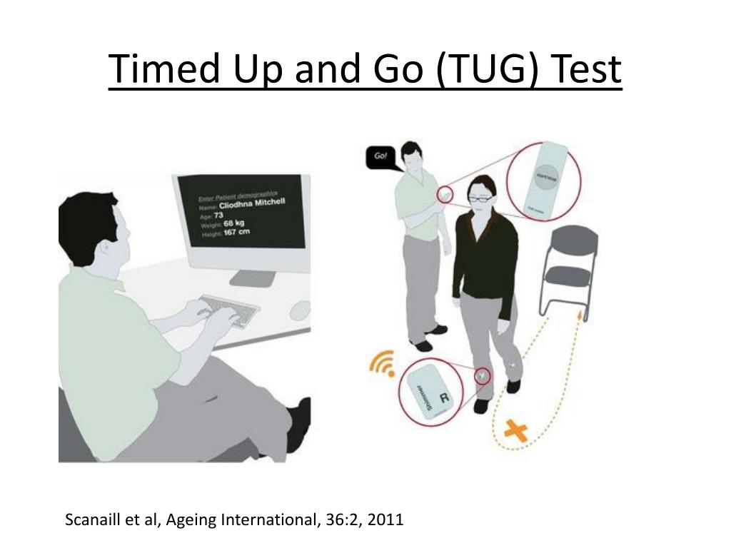 timed up and go test validity and reliability timed up and go test validity and reliability