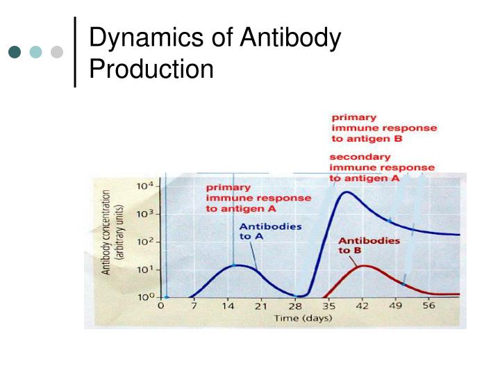 Unit 1 Nature of the Immune Response Part 5 Humoral Immune Biology Diagrams