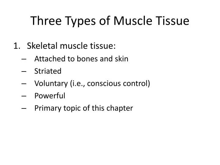 Ppt Three Types Of Muscle Tissue Powerpoint Presentation Free Ppt Three Types Of Muscle Tissue Powerpoint Presentation Free