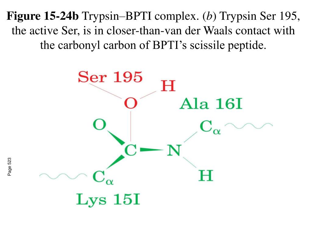 PPT - Review Session: Monday, Dec. 8 6 pm BI 212 Exam Wednesday, Dec ...