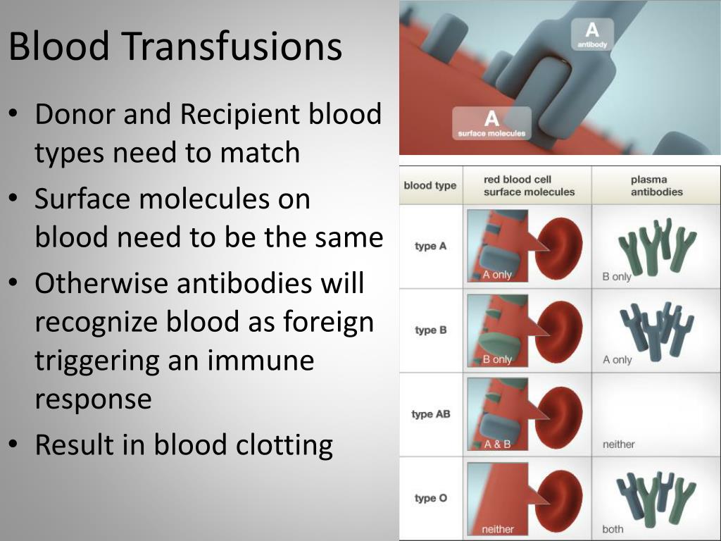 blood donation ppt presentation free download blood donation ppt presentation free download