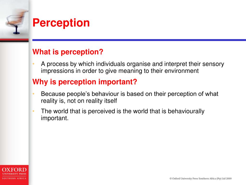 subjective perception definition