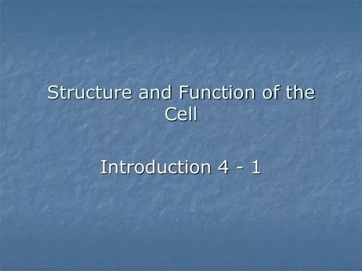 structure and function of the cell n.