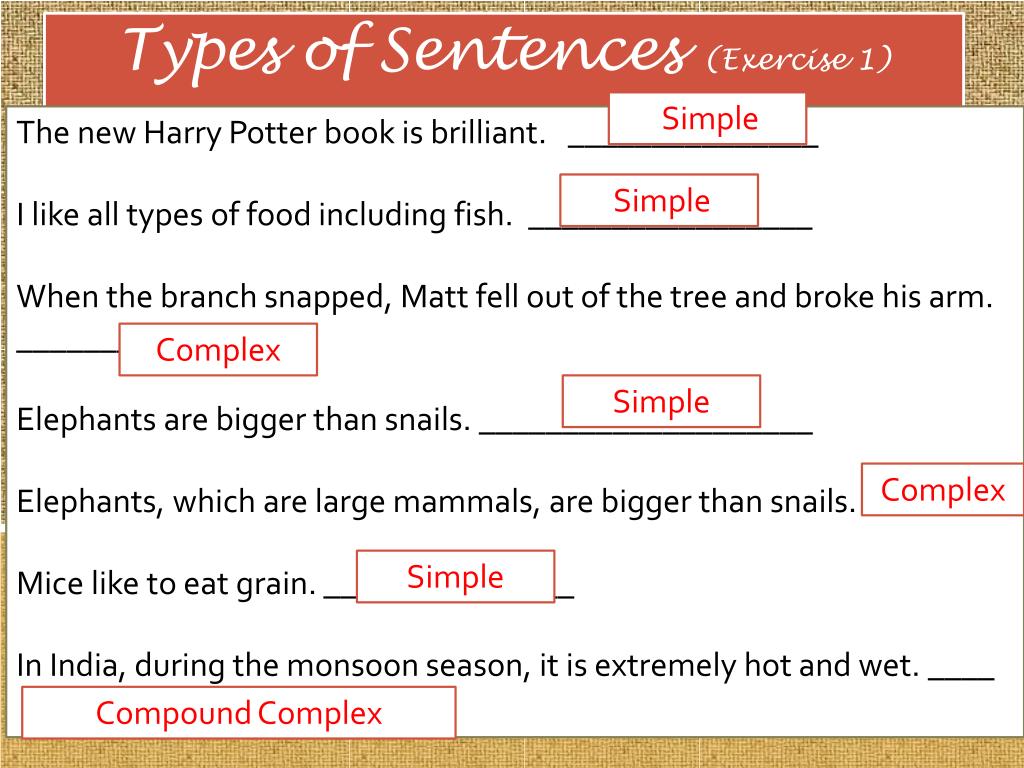 Sentence elements. Types of sentences. Types of sentences in English Grammar. Structural Types of sentences. Types of sentences in English Grammar exercises.