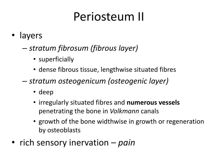 PPT - General osteology PowerPoint Presentation - ID:2963384