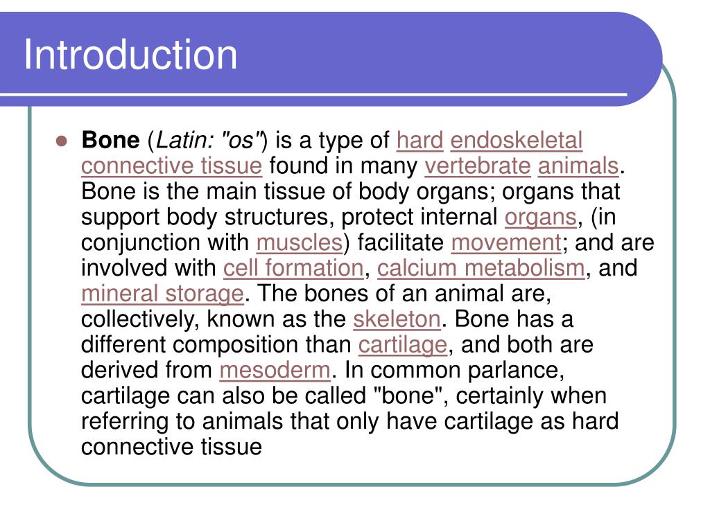 Growth and Development of Bone PowerPoint Presentation, free ... Biology Diagrams