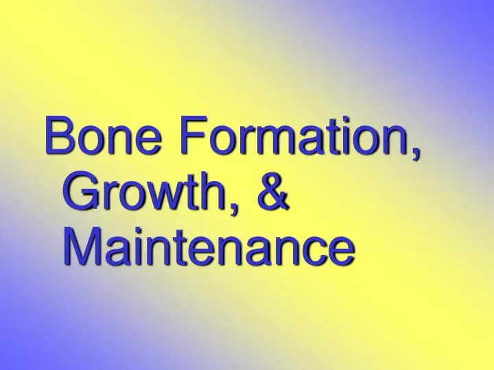 slide1 n.