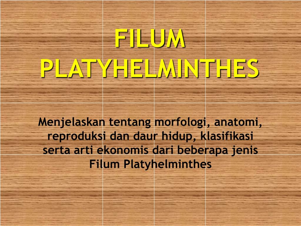 PPT FILUM PLATYHELMINTHES PowerPoint Presentation free 